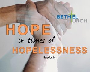 Hope in Times of Hopelessness